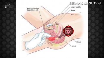 Как заработать на порно сайте